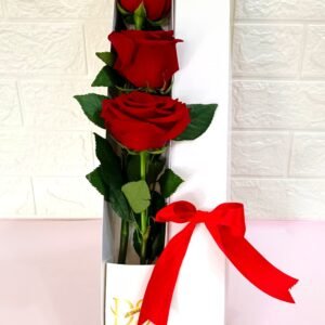 Caja de 3 Rosas Naturales
