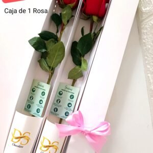 Caja de 1 Rosa Natural